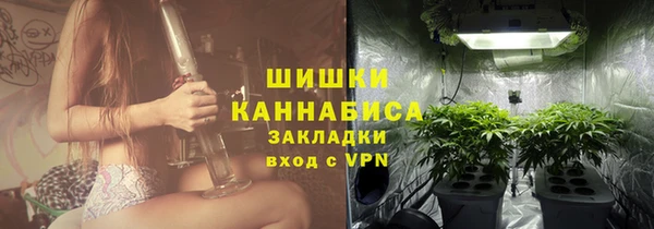 эйфоретик Липки