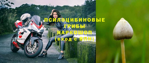 винт Лиски